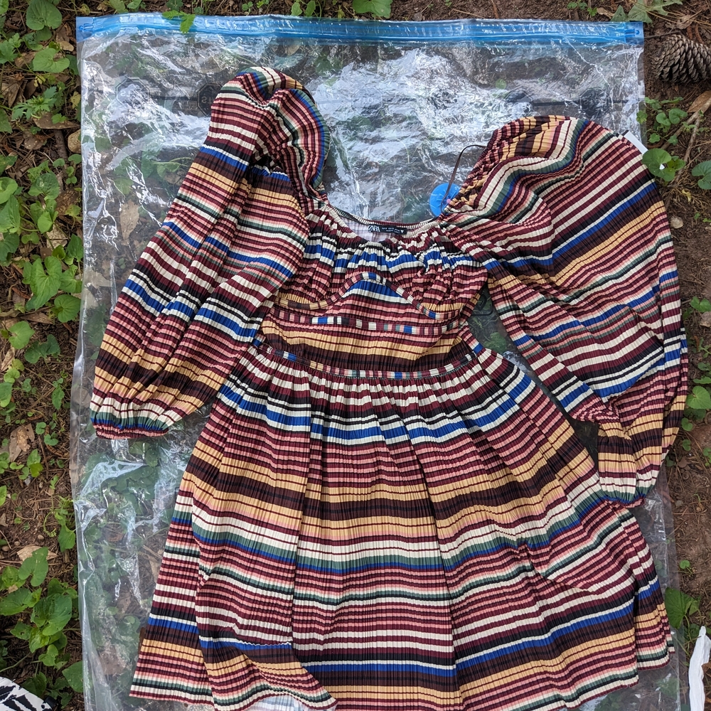 Zara Multicolor Striped Dress